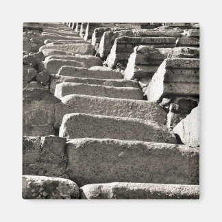BW Pompeii Ruins VI Magnet