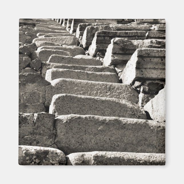 BW Pompeii Ruins VI Magnet (Front)
