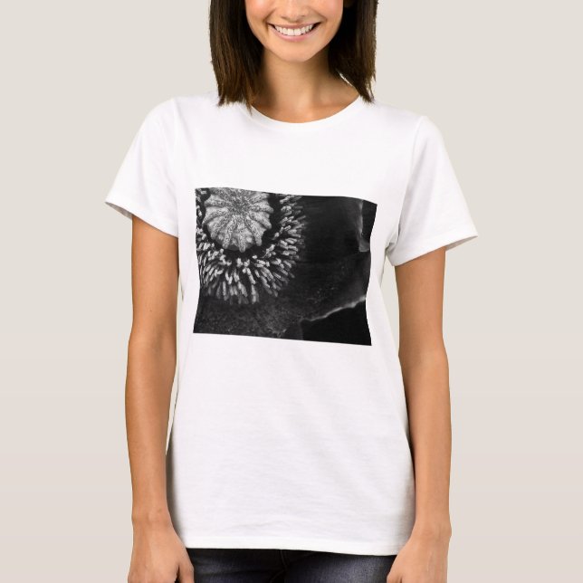 BW Poppy T-Shirt (Front)