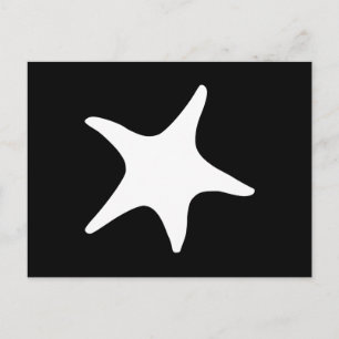 BW Starfish Postcard