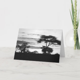 BW Sunset Card