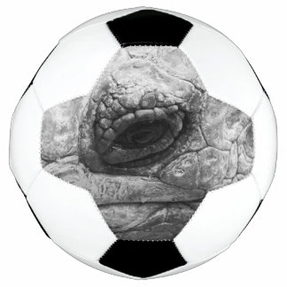 BW Tortoise Football