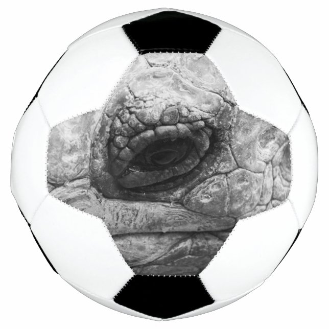 BW Tortoise Football (Front)