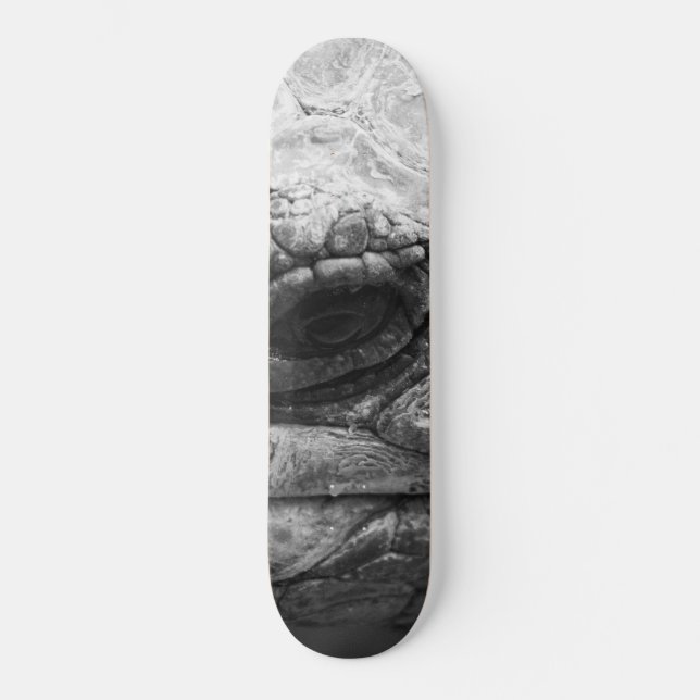 BW Tortoise Skateboard (Front)