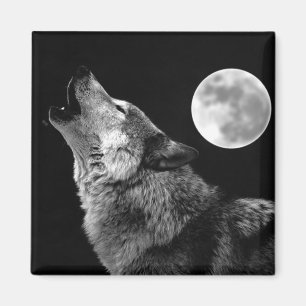 BW Wolf Howling at Moon Magnet
