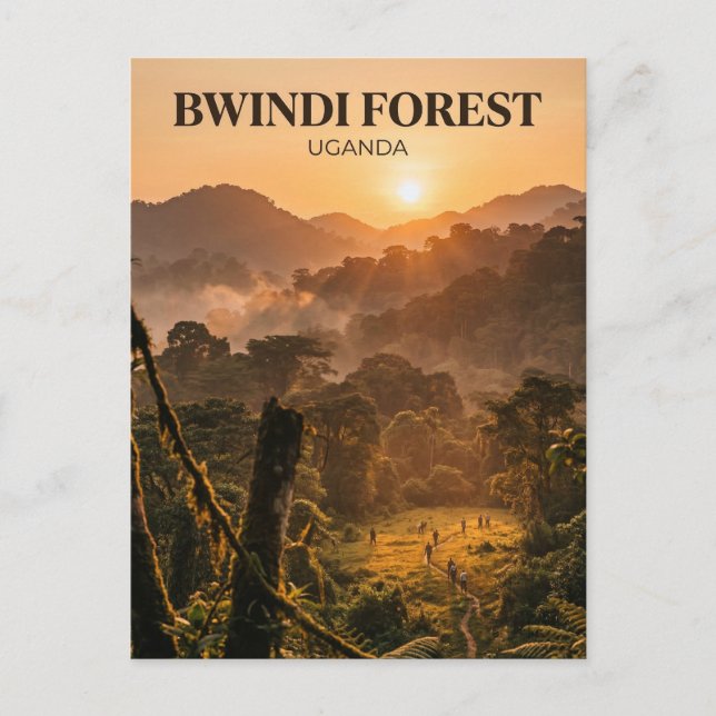 Bwindi Forest, Kanungu, Western Region Postcard (Front)