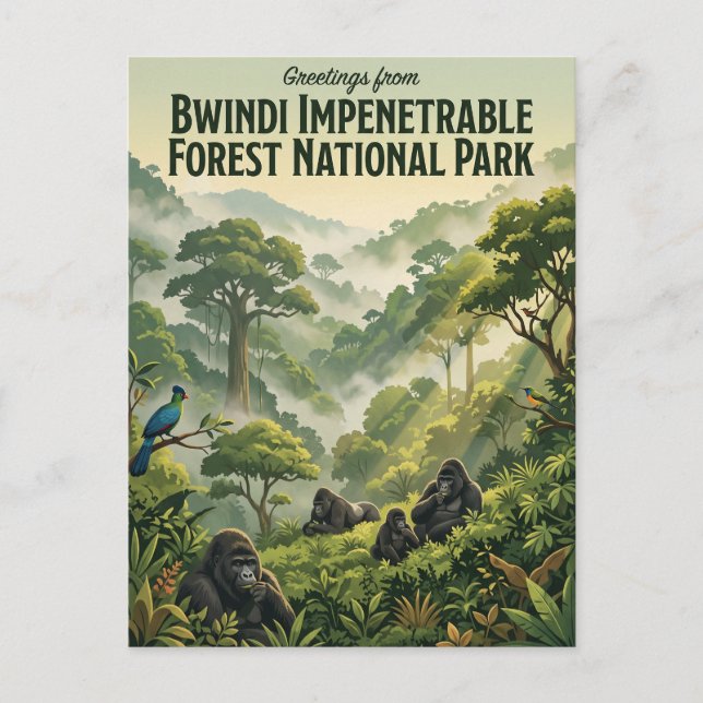 Bwindi Impenetrable Forest National Park Uganda Postcard (Front)