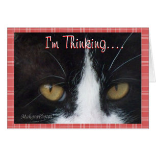 BWThinking......customise