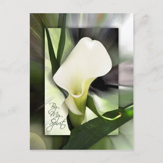 By My Spirit Postcard (Front)