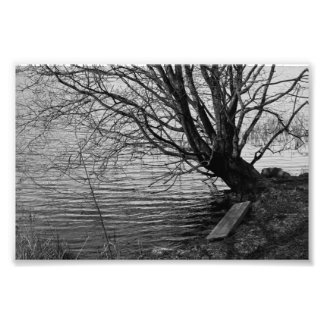 By the lake photo print