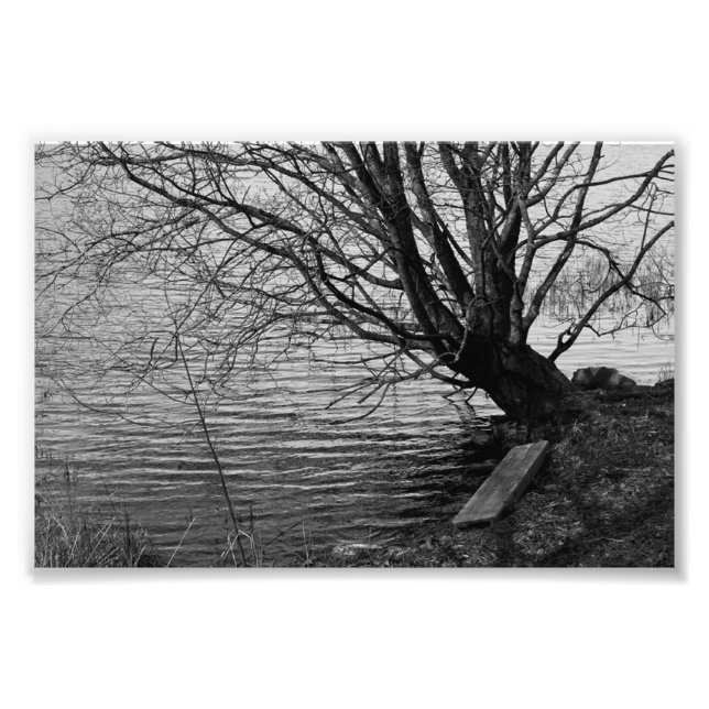 By the lake photo print (Front)