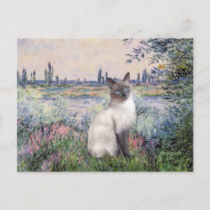 By the Seine - Blue Point Siamese cat Postcard