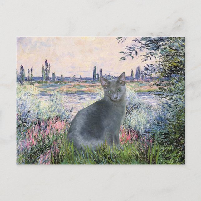 By The Seine- Russian Blue cat 2 Postcard (Front)