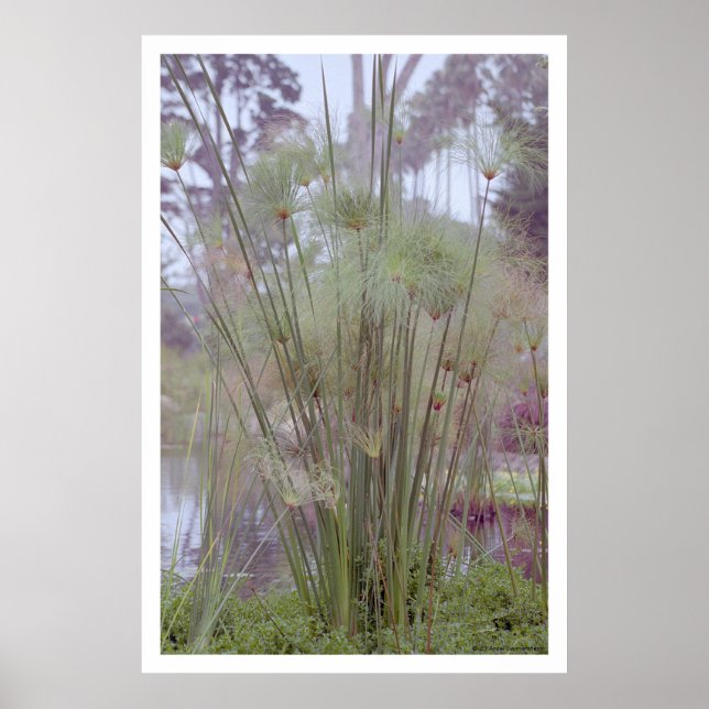 By the Water, Santa Barbara (poster) Poster (Front)