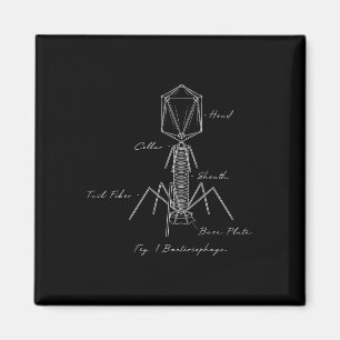 Bycteriophage Microbiology Diagram Biology Virolog Magnet