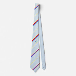 Bydgoszcz stripes flag tie