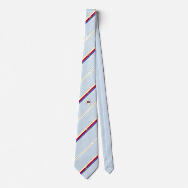 Bydgoszcz stripes flag tie (Front)