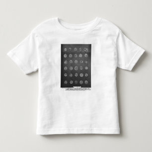 Byzantine and Roman coins, 04-10th century Toddler T-Shirt