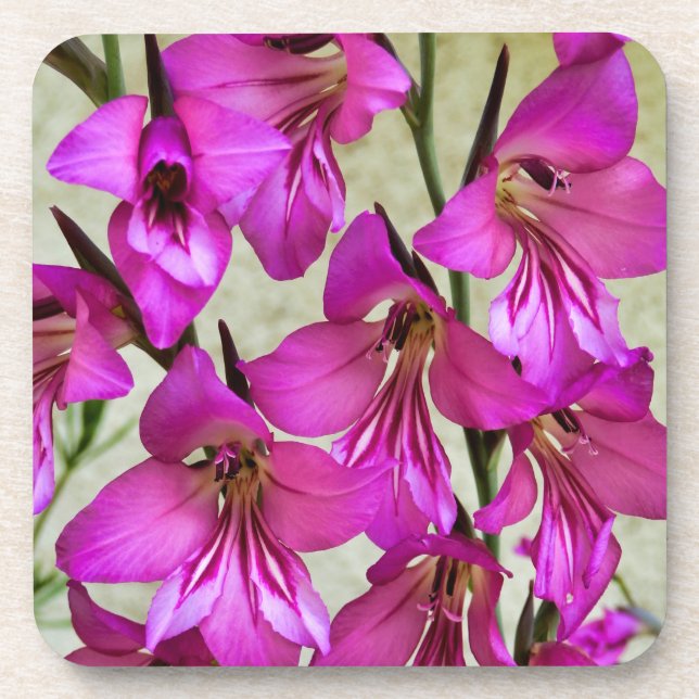 Byzantine Gladiolus Coaster (Front)