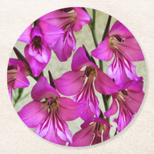 Byzantine Gladiolus Round Paper Coaster