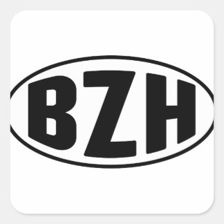 BZH Brith Breton Breizh Square Sticker