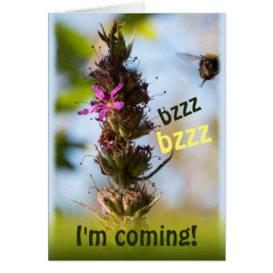 Bzzz I'm coming! CC0764 Loosestrife & Bumblebee