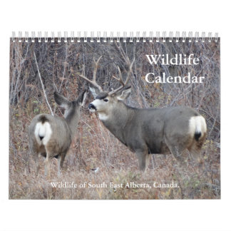 C13 Wildlife Calendar