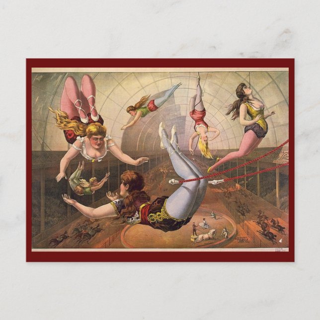 c1890 Female acrobats on trapezes at circus Postcard (Front)