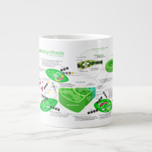 C4 Photosynthesis Diagram Large Coffee Mug