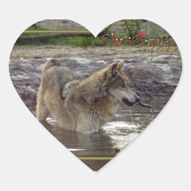 c-2011-grey-wolf-005 heart sticker (Front)