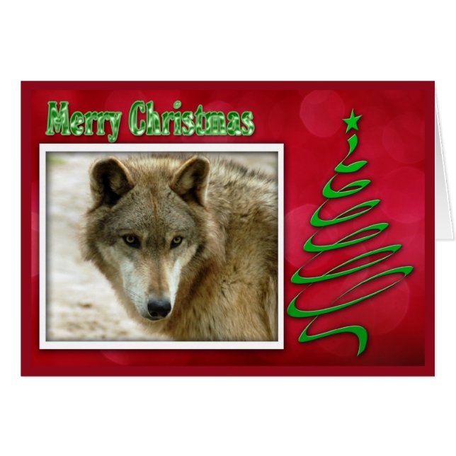 c-2011-grey-wolf-048 (Front Horizontal)