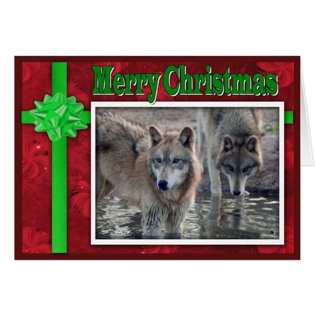 c-2011-grey-wolf-053 (Front Horizontal)