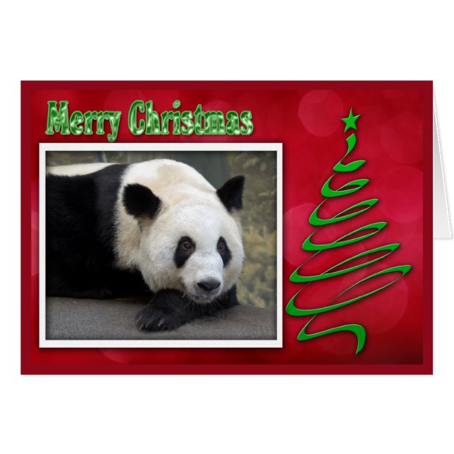 c-2011-panda-0059 (Front Horizontal)