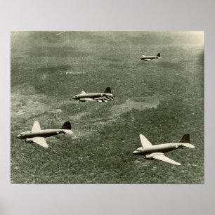 C-47s and P-40's Poster
