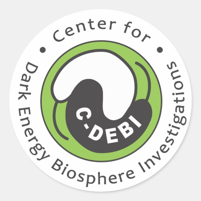 C-DEBI Sticker - Full Name (Front)