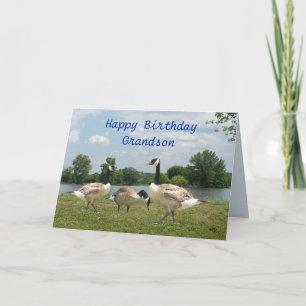 C. Geese-customise any occasion Card