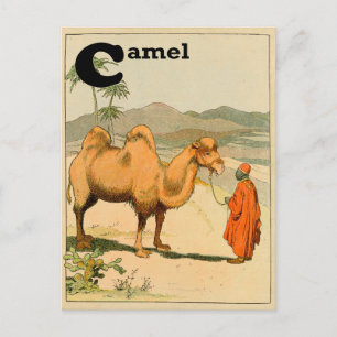 C is for Camel - Alphabet Animal Postcard