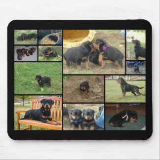 C Litter puppy collage Mouse Mat