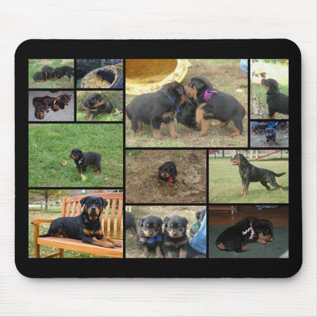 C Litter puppy collage Mouse Mat (Front)