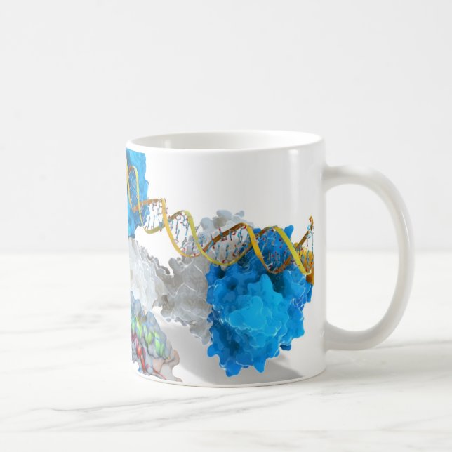 c-Myc and Notch binding DNA Coffee Mug (Right)