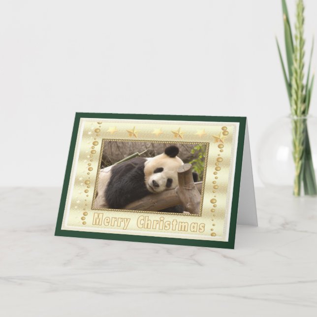 c-panda-296 holiday card (Front)