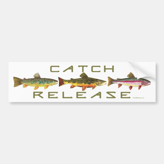 C & R - Trout Bumper Sticker (Front)