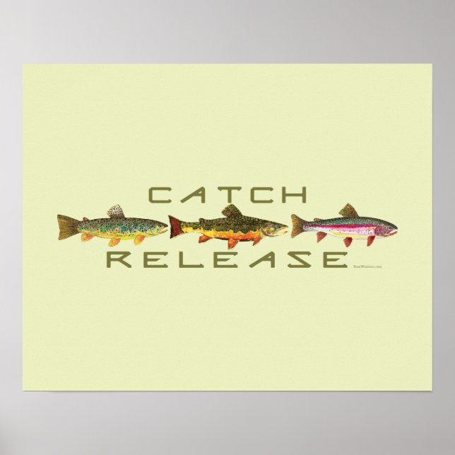 . C & R - Trout Poster (Front)