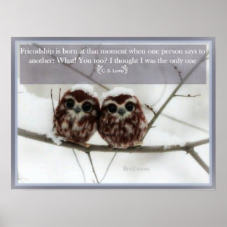 C. S. Lewis and the Owls Poster