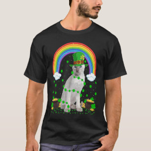 C:\Users\Administrator\Downloads\CAT 17\Rainbow Ir T-Shirt