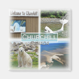 CA0029 America, Canada, Churchill, Welcome Fridge  Magnet