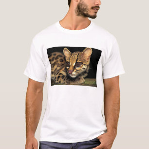 CA, Central Panama, Soberania NP, Margay 2 T-Shirt