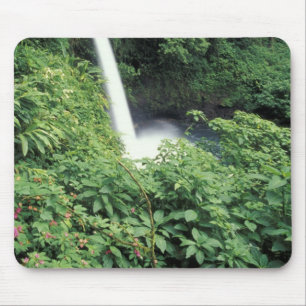 CA, Costa Rica. La Paz waterfall and impatients Mouse Mat