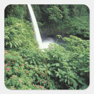 CA, Costa Rica. La Paz waterfall and impatients Square Sticker