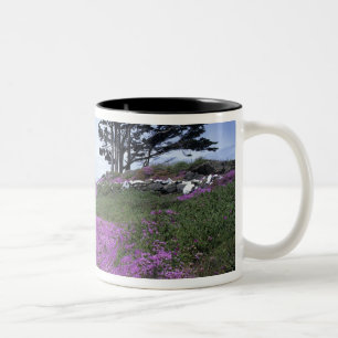 CA, Crescent City, Battery Point lighthouse with Two-Tone Coffee Mug